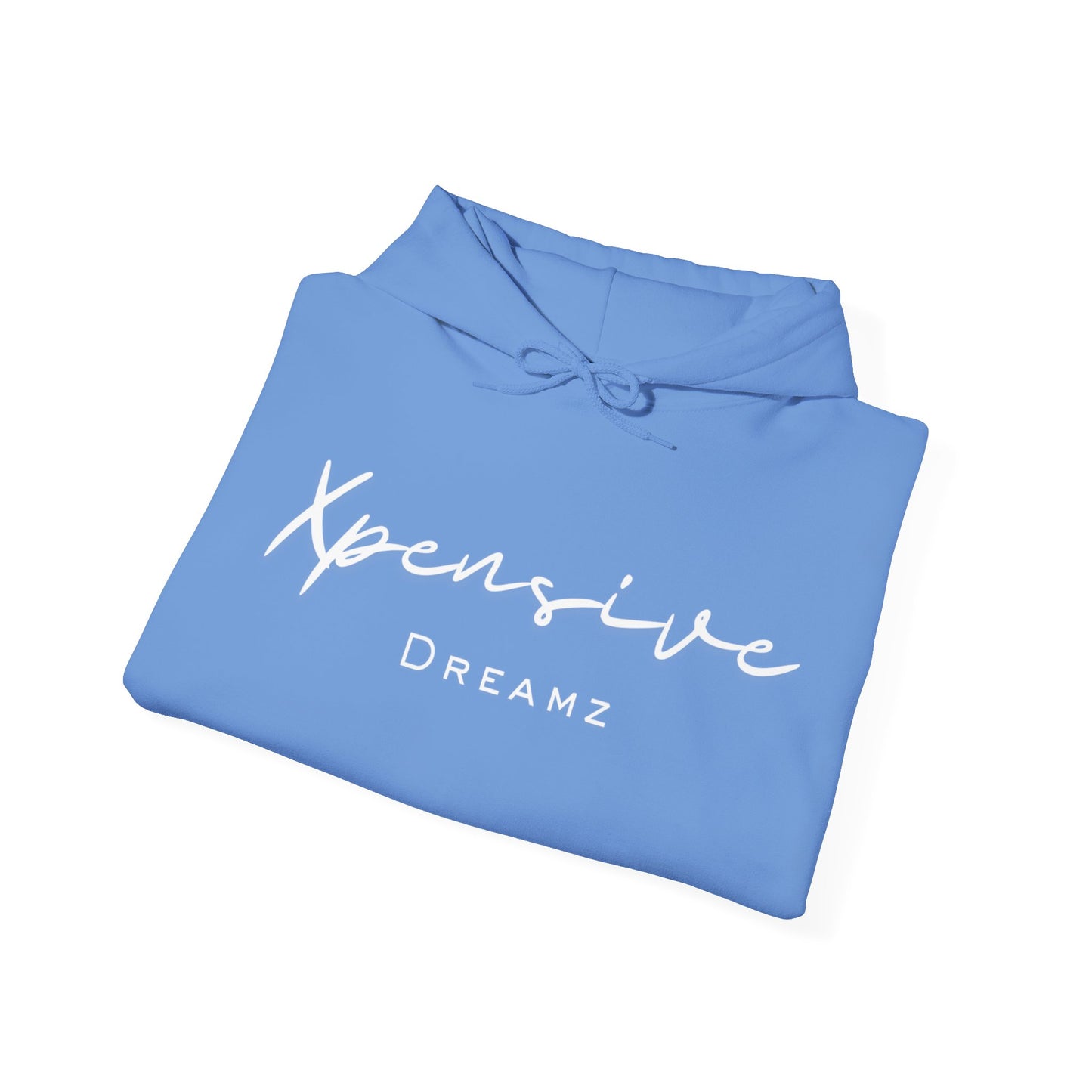 Xpensive Dreamz Unisex Heavy Blend™ Hooded Sweatshirt
