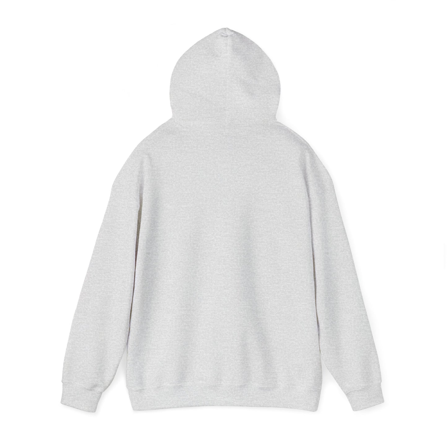 Unisex Heavy Blend™ Xpensive Dreamz Money Hooded Sweatshirt